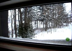 2351651DSCN1684.jpg